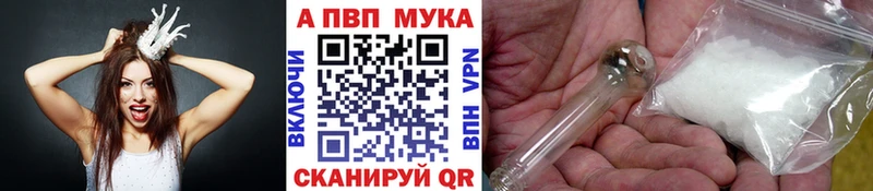 где купить наркотик  площадка клад  Alfa_PVP СК КРИС  Тайга 