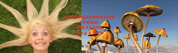 индика Остров