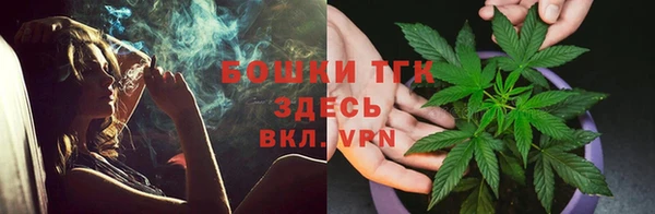 ГАЛЛЮЦИНОГЕННЫЕ ГРИБЫ Осинники