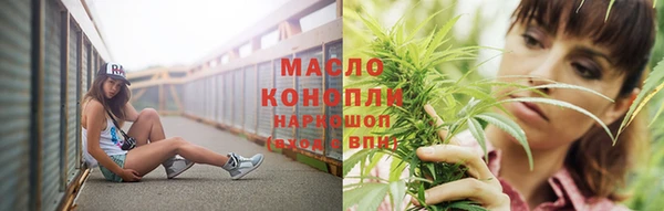 ГАЛЛЮЦИНОГЕННЫЕ ГРИБЫ Осинники