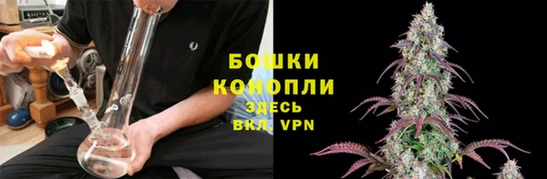 ГАЛЛЮЦИНОГЕННЫЕ ГРИБЫ Осинники