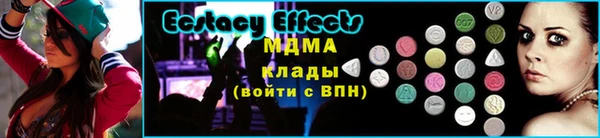 ГАЛЛЮЦИНОГЕННЫЕ ГРИБЫ Осинники