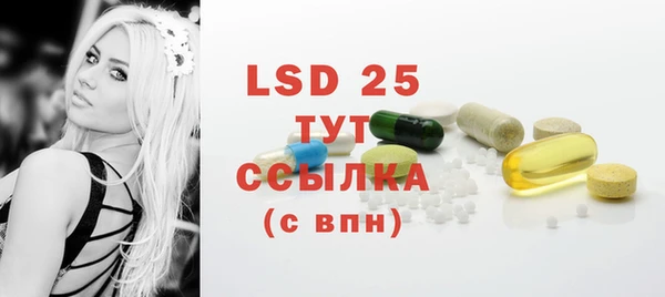 ГАЛЛЮЦИНОГЕННЫЕ ГРИБЫ Осинники