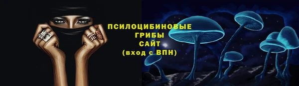 индика Остров