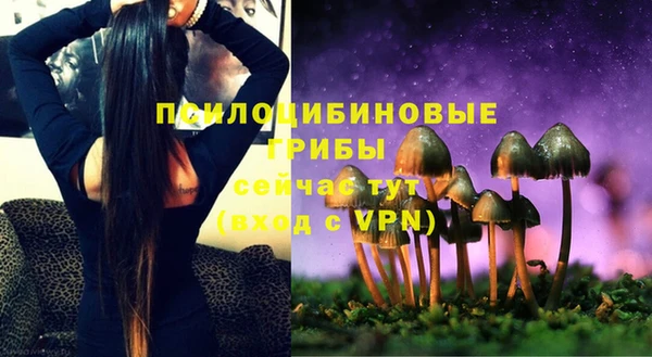 индика Остров