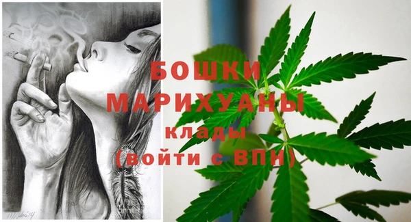 ГАЛЛЮЦИНОГЕННЫЕ ГРИБЫ Осинники