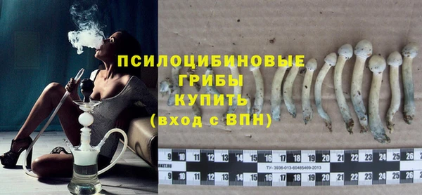 ГАЛЛЮЦИНОГЕННЫЕ ГРИБЫ Осинники